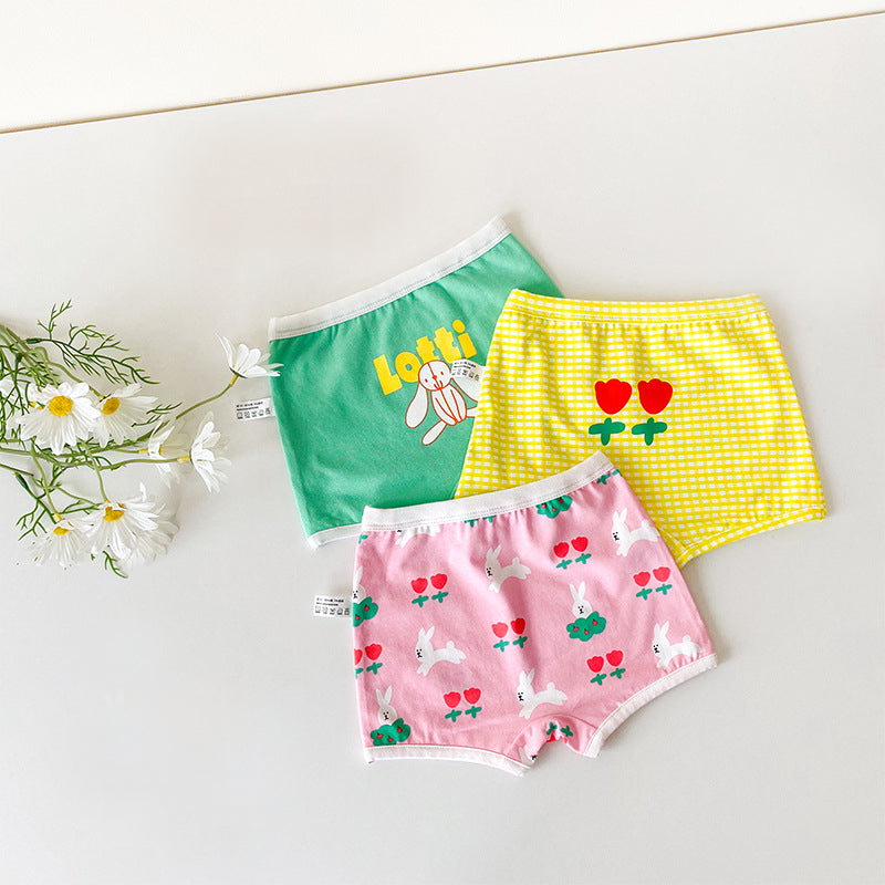 Cotton Flower Rabbit Boxer & Briefs 3 Pack