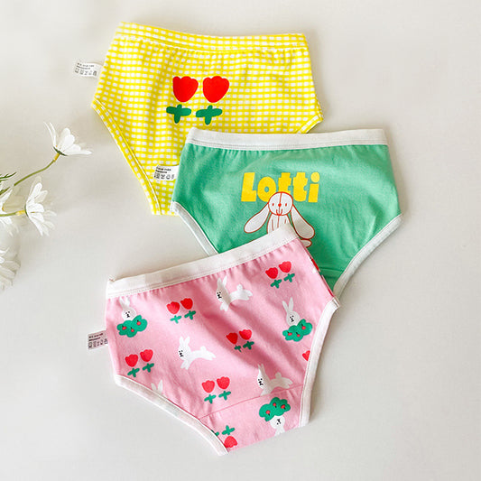 Cotton Flower Rabbit Boxer & Briefs 3 Pack